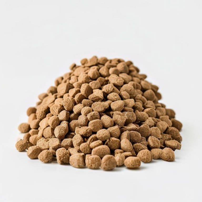 Croquettes pour chien taupe